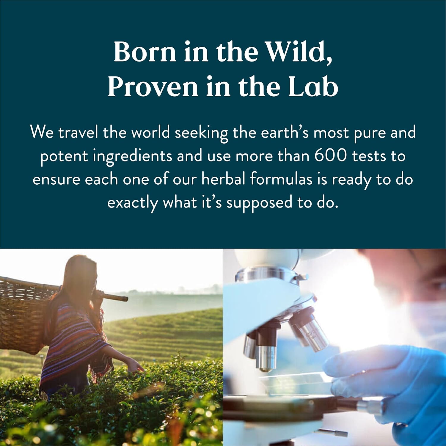 Revitalize Your Health and Energy Naturally